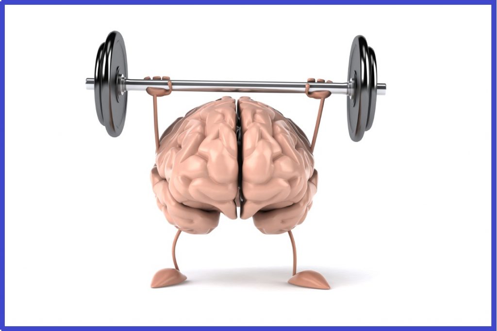 daily tactics guru-Improves Brain Activity