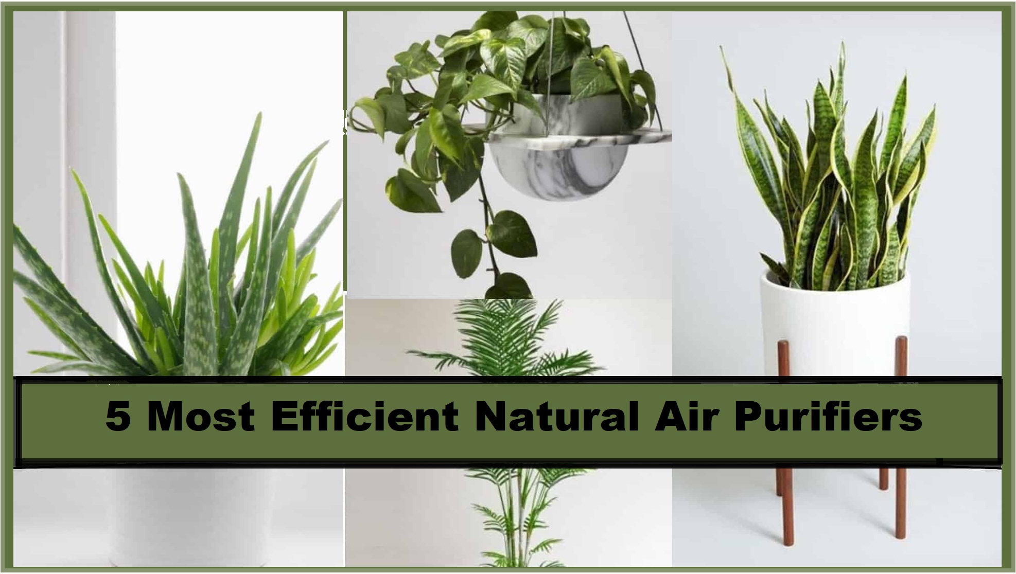 the-most-energy-efficient-air-purifiers-buying-guide-and-reviews