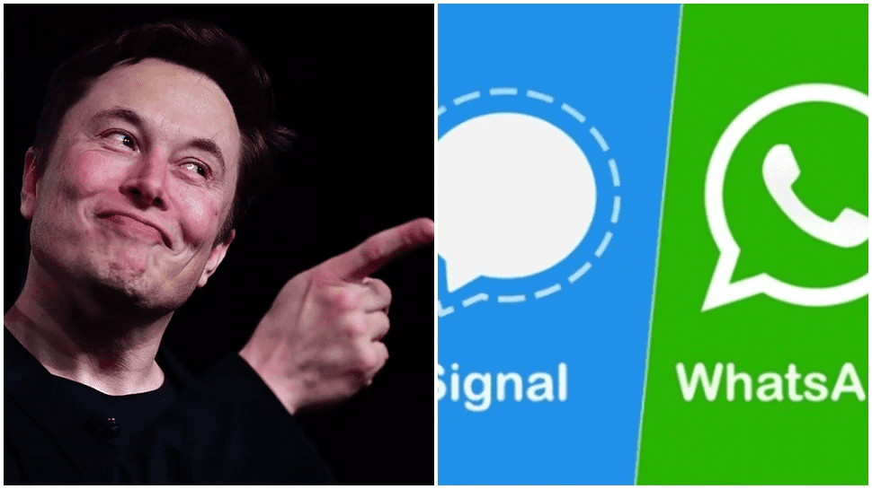 daily tactics guru-Elon Musk asks people to use Signal app