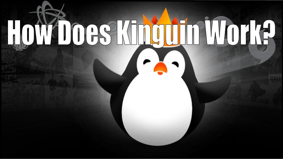 daily tactics guru-kinguin reviews