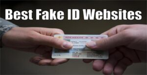 daily tactics guru-Best Fake ID Websites